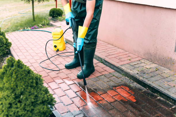 Best Residential House Exterior Washing  in Monongah, WV