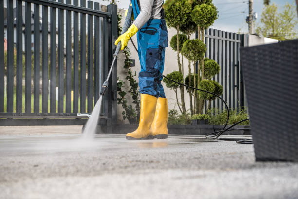Best Gutter Cleaning  in Monongah, WV